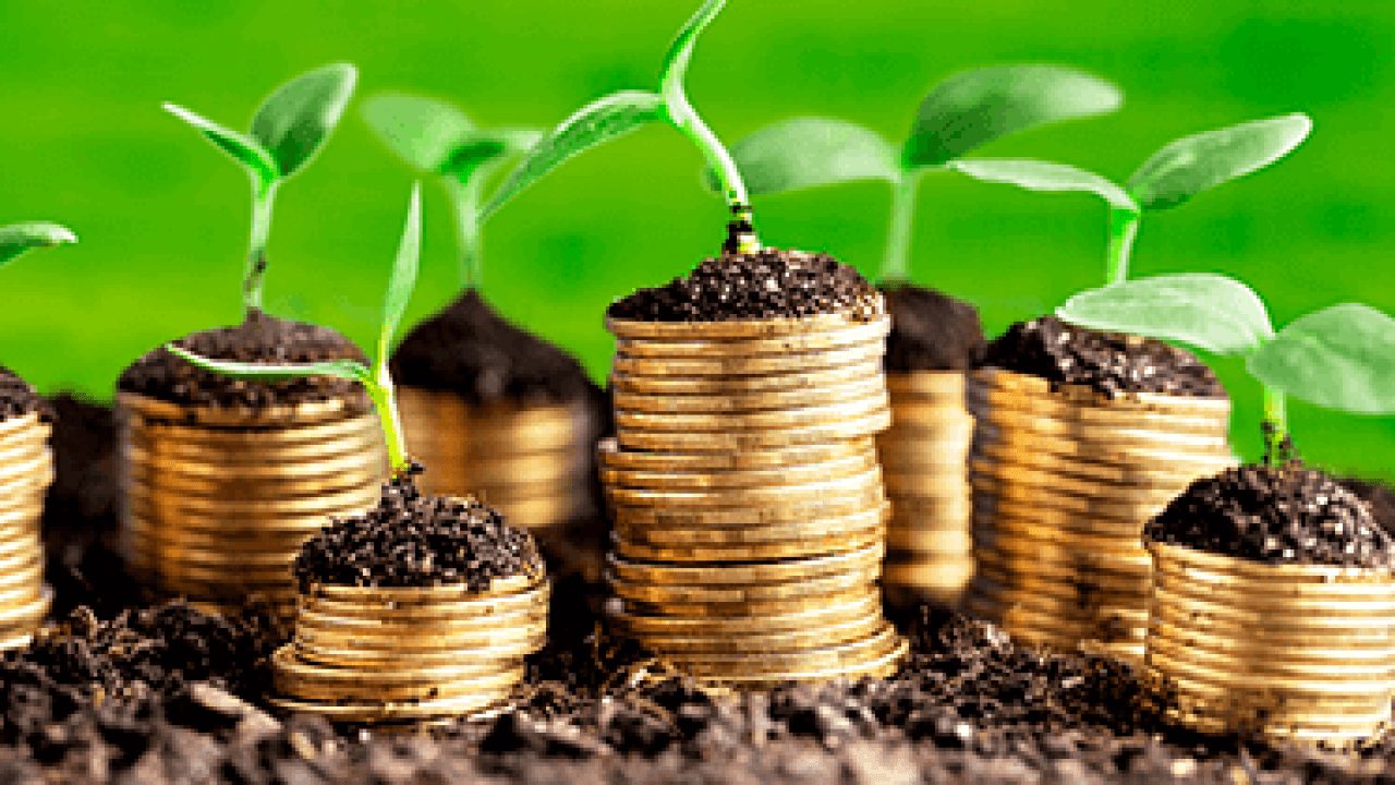 A abertura de mercados agropecuários alcançou 507 novas possibilidades de exportações