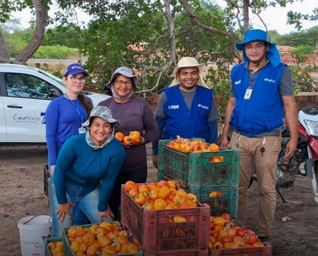 Em Aracati, no Ceará, o Instituto Caju Brasil (ICB), traz o projeto “Prospera Caju” na próxima sexta-feira, 27 de fevereiro