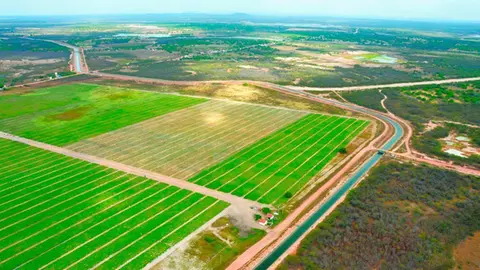 Agronegócio do Ceará entra no novo ano com metas mais ambiciosas e ações voltadas à adaptação às condições do semiárido