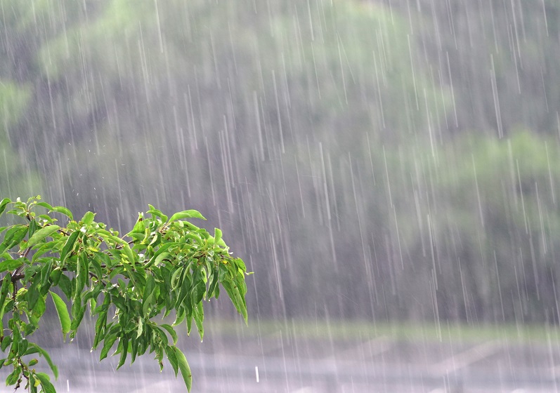 Quadra chuvosa no Ceará: mais de 30 municípios registram chuvas