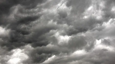 No semiárido, antecipar riscos reduz perdas produtivas e melhora o controle dos custos de produção, tanto na agricultura quanto na pecuária.