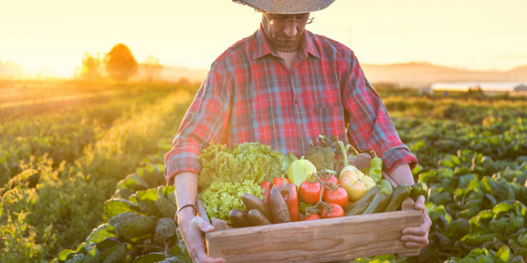 A Secretaria do Desenvolvimento Agrário (SDA) apresentou um conjunto de programas e projetos estratégicos voltados ao fortalecimento da produção rural
