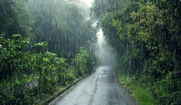 Funceme registra chuva em 98 municípios do Ceará nas últimas 24 horas; veja os maiores acumulados