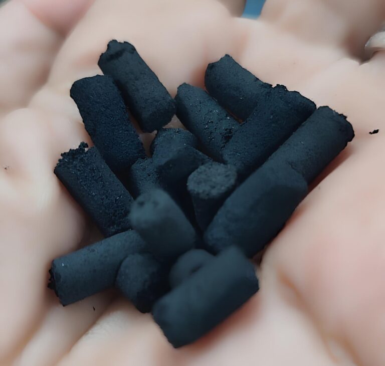 Para o agronegócio do Nordeste, biocarvão de coco é mais do que um  projeto é inovação. 