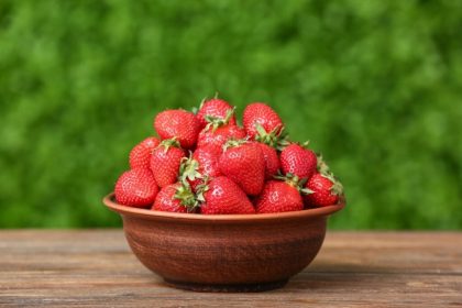 Espanhóis chegam ao Ceará para produzir morango em Pereiro