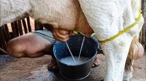 A fertilização in vitro já representa mais de 70% de todas as técnicas de reprodução assistida utilizadas no Brasil.