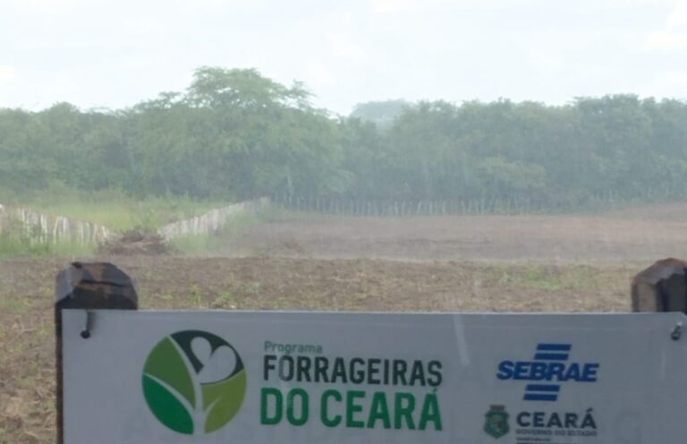 O Programa Forrageiros do Ceará está transformando a relação dos produtores rurais com o período seco no estado.