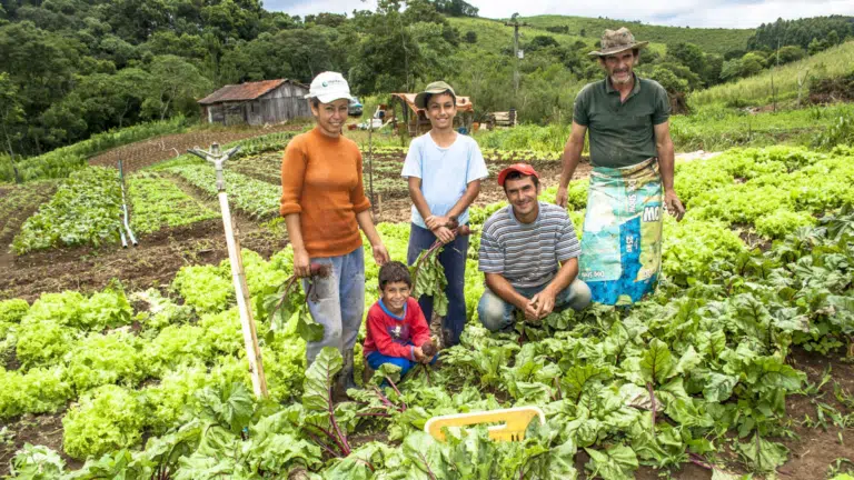 O Projeto São José é uma das políticas mais longevas e estruturantes da agricultura familiar no Ceará. 