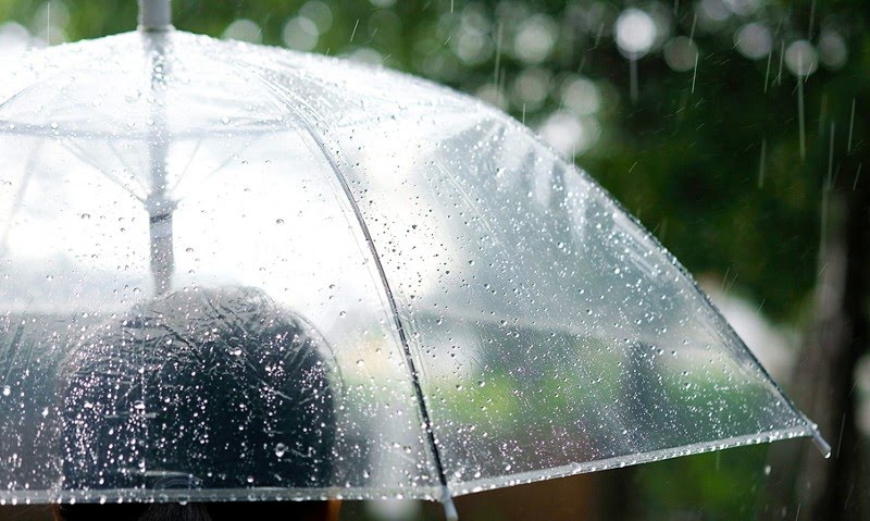 Ceará tem ‘perigo de chuvas intensas’ em 90 cidades, neste sábado (25); veja lista