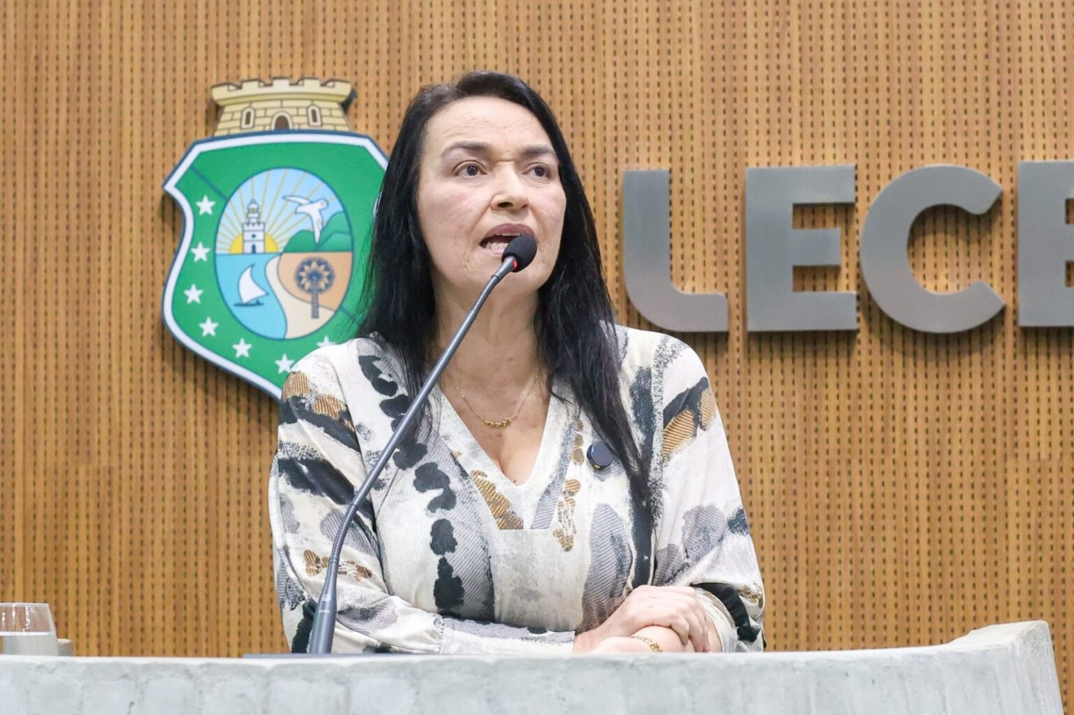 Dra. Silvana apresenta projeto para ampliar vagas de residência em Psiquiatria