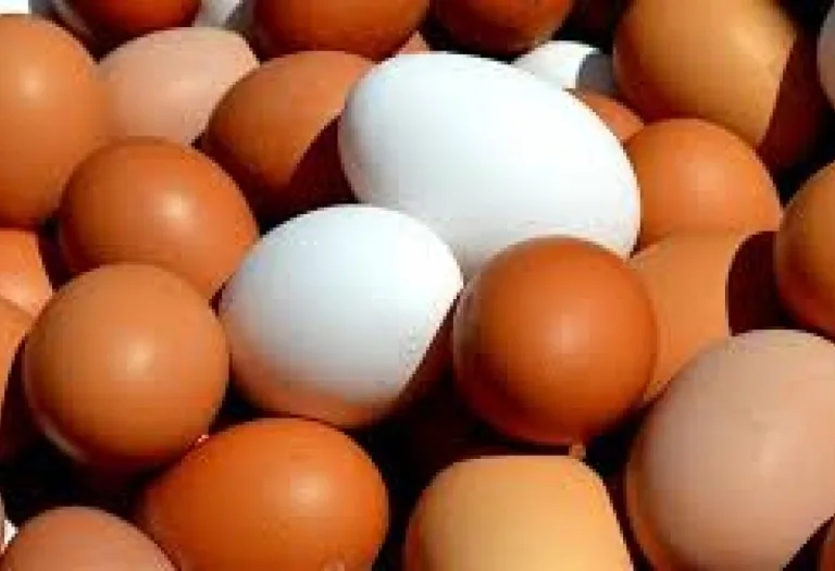 Beberibe está entre os cinco maiores produtores de ovos do Brasil