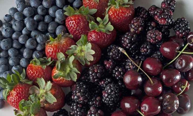 Ceará testa novos plantios de berries na Ibiapaba e Chapada do Apodi