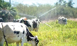 Agropecuária e serviços sustentam alta do PIB e Ceará cresce acima da média nacional