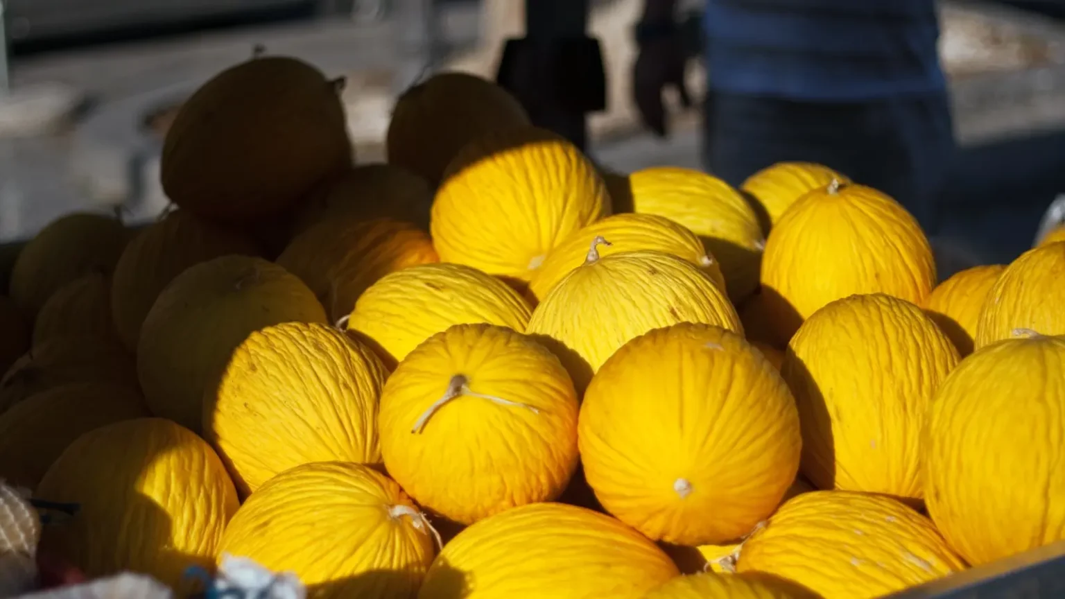 Quais produtos o agronegócio cearense mais exporta em 2026? Confira a lista