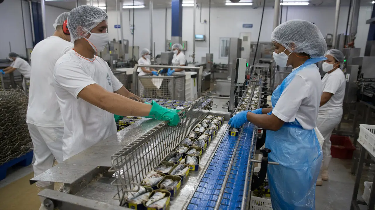 Robinson Crusoe planeja investir R$ 35 milhões para logística de pescados no Ceará até 2028