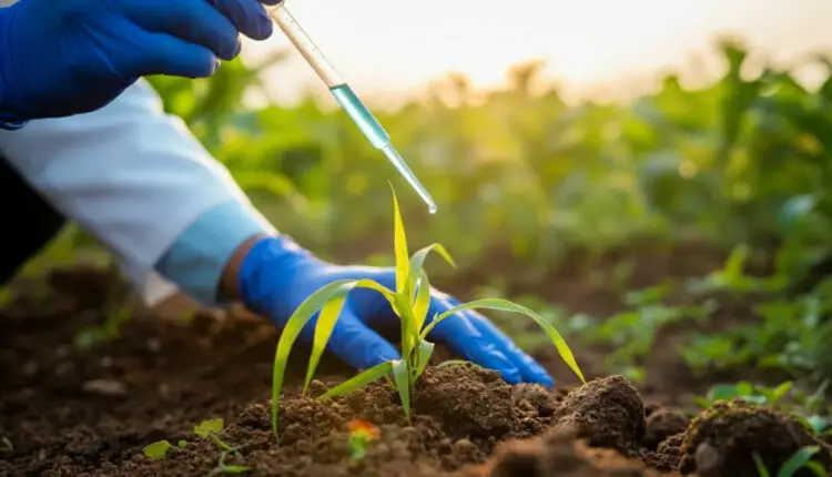 Setor agropecuário intensifica mobilização por regulamentação da Lei dos Bioinsumo