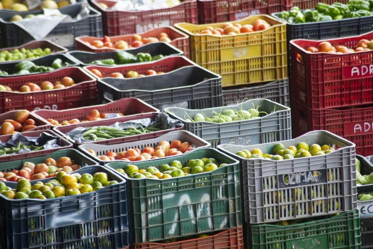 Ceasa-CE movimenta mais de R$ 3,1 bilhões em hortigranjeiros em 2025