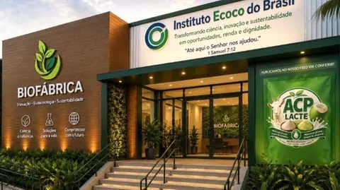 Jaguaretama terá primeira Biofábrica de coco em pó do país