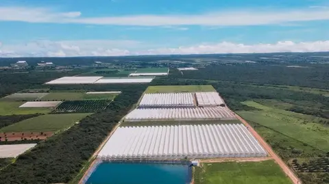 SDE verá na Holanda tecnologia de irrigação e do cultivo protegido