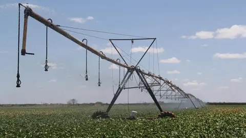Água para irrigação no Ceará: o eterno dilema