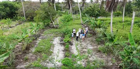 Como a agroecologia virou o futuro da agro do Ceará e mudou a vida de produtores rurais