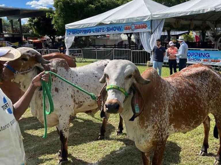 ​A 73ª edição da Expocrato promete agitar a economia do Cariri. A organização do evento projeta uma movimentação financeira histórica, estimada em mais de R$ 150 milhões.