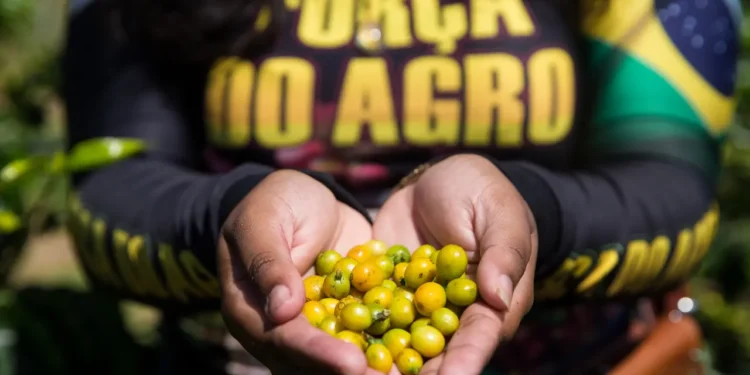 Crédito rural no Ceará: como funciona e quem pode acessar