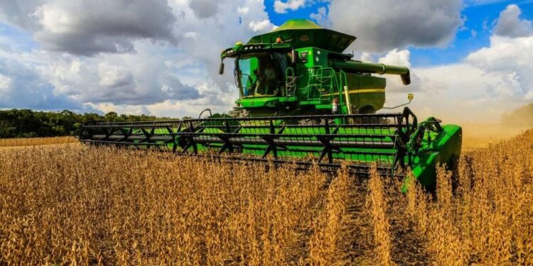 Agro avança 6,8% no ano, impulsionado por colheitas recordes em setores específicos