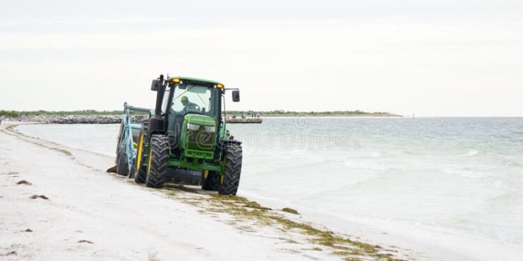 A nova fronteira agrícola do Ceará