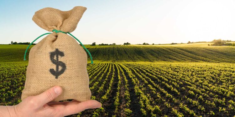 Ceará supera ritmo do Brasil com alta de 2,21% no PIB do 2º trimestre