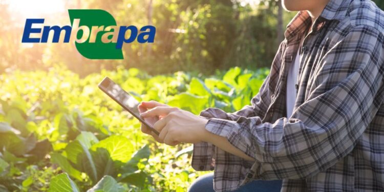 Embrapa abre inscrições para curso gratuito de Agricultura Digital
