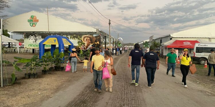 Com meta de R$ 50 milhões, ExpoCariri abre portas e movimenta a economia regional