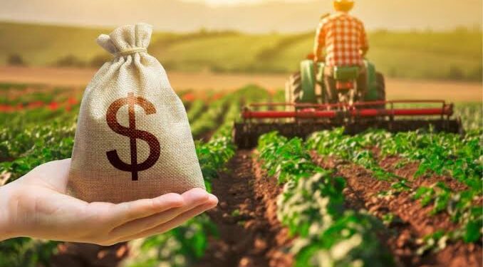 Banco do Nordeste divulga cartilha de educação financeira para produtores rurais