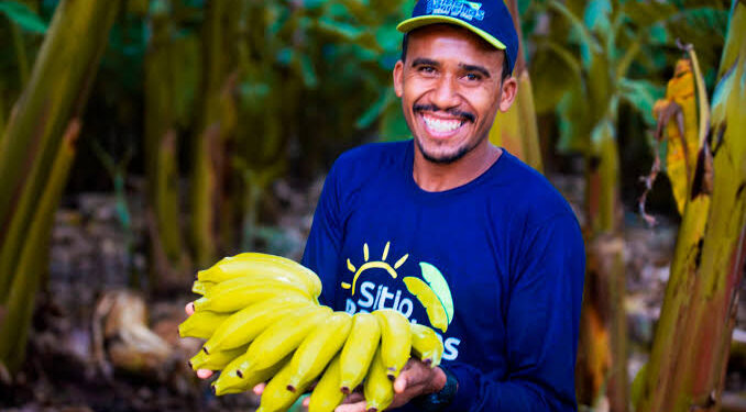 ​Sítio Barreiras impulsiona logística no Nordeste para reforçar distribuição de frutas