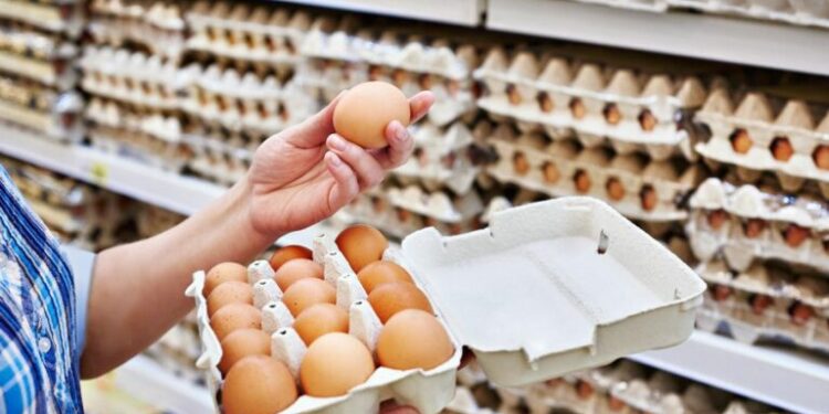 Projeção indica consumo recorde de 301 ovos por habitante no Brasil em 2026