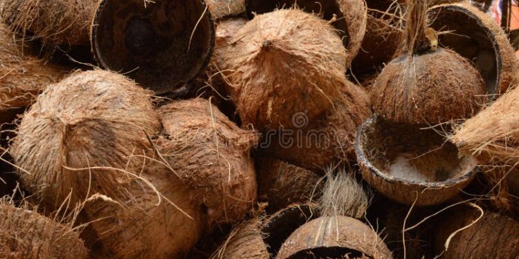 Casca do coco vai gerar gás metano, anuncia Marquise Ambiental
